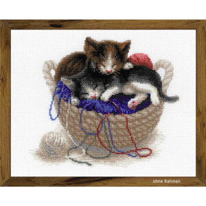 Riolis counted cross stitch Kit Kittens In A Basket, DIY
