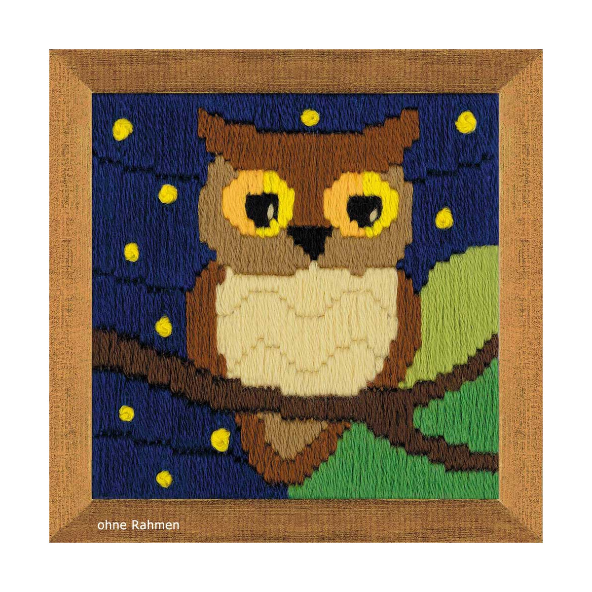Riolis counted cross stitch Kit Owl Among The Stars, DIY