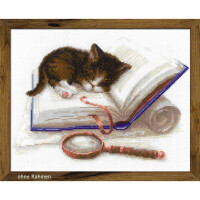 Riolis counted cross stitch Kit Kitten on the Book, DIY