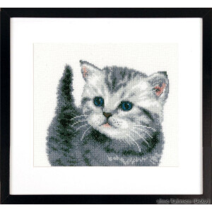 Vervaco Counted cross stitch kit Grey tiger kitten, DIY