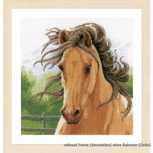 Lanarte cross stitch kit Aida "Horse I",...