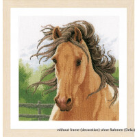 Lanarte cross stitch kit Aida "Horse I", counted, DIY
