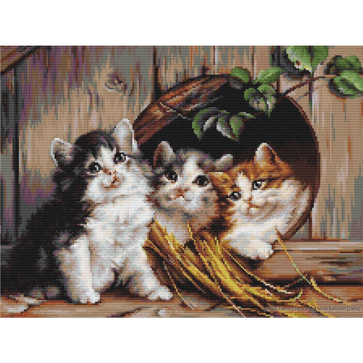 Three kittens with fur patterns in black, gray and white...