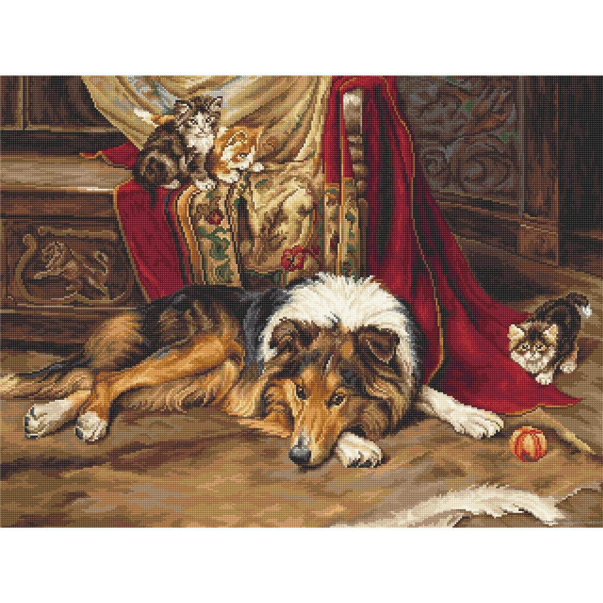 A collie lies on the floor in front of a decorated chair...