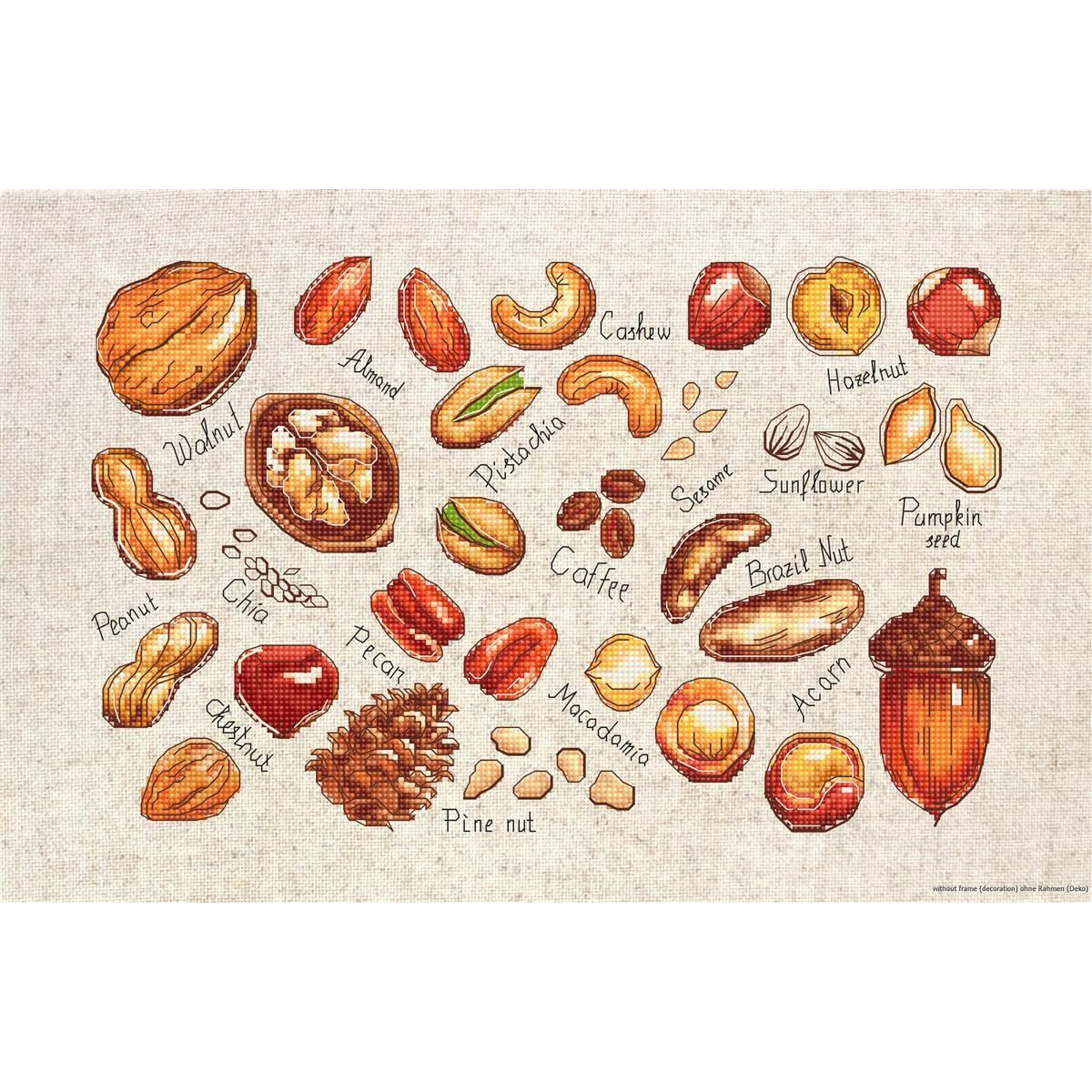 Illustrierte Symbole verschiedener Nüsse und Samen...
