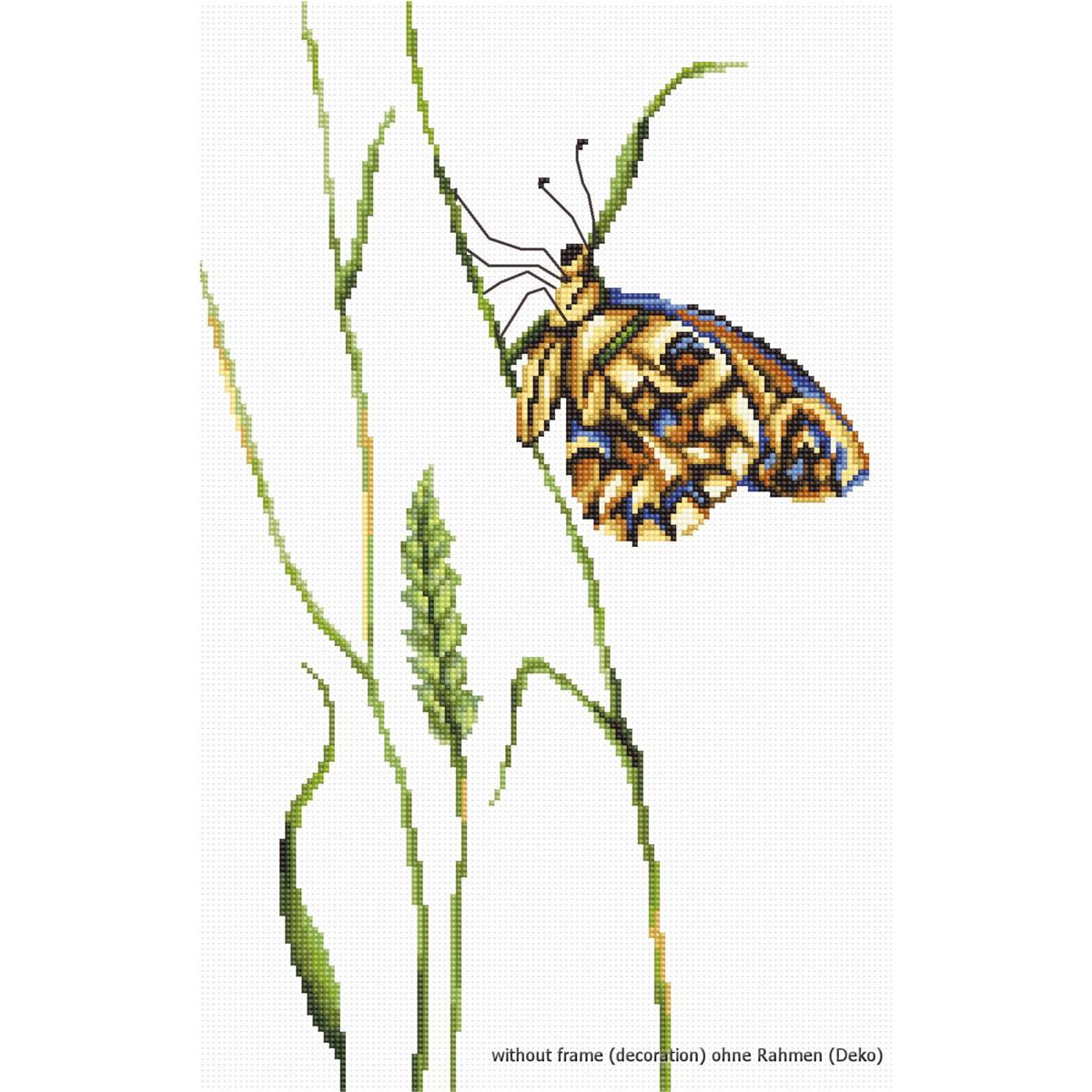 A colorful butterfly with blue, yellow and black patterns...