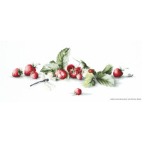 Luca-S Kreuzstich Set "Etüde mit Erdbeeren und Libelle Aida", Zählmuster, 49,5x18,5cm