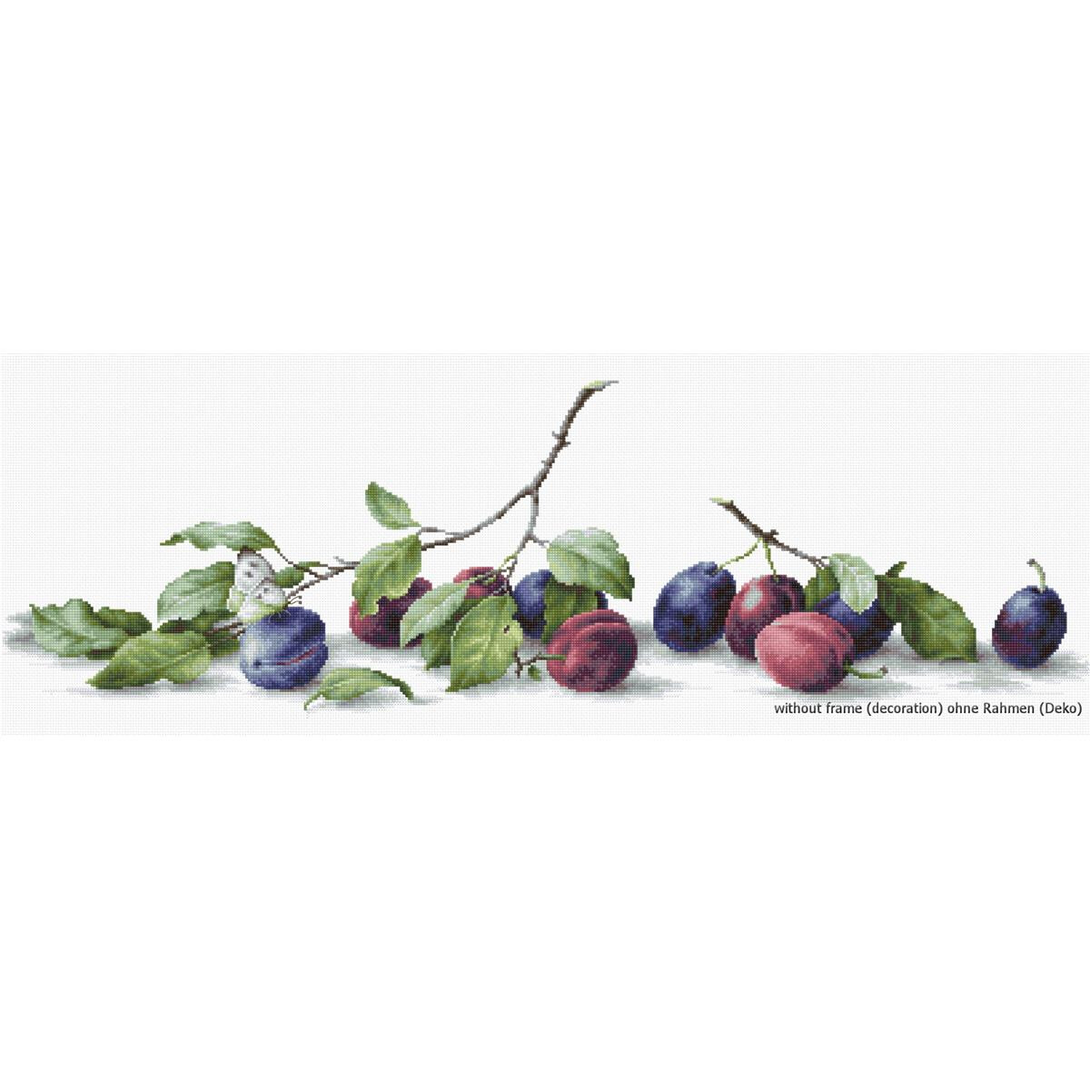 Illustration of several ripe plums in shades of purple,...