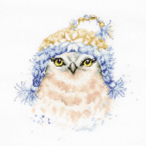 Luca-S counted Cross Stitch kit "Owl with coin...