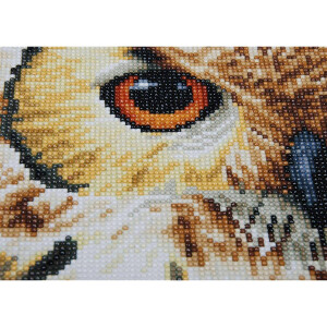 Lanarte Diamond painting kit Owl (20 x 26 cm)