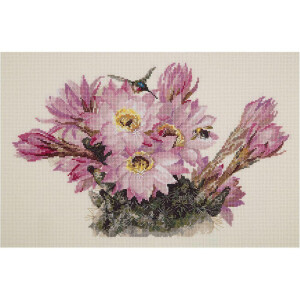 Panna counted cross stitch kit "Cactus in...