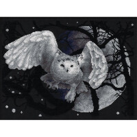 Juego de punto de cruz Panna "White owl" 36x27cm, patrón de conteo