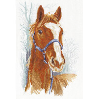 Panna counted cross stitch kit "Orlik the Horse" 23x35.5cm, DIY