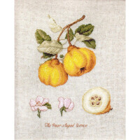 Luca-s counted cross stitch kit "The Pear shaped Quince" evenweave linen, 18,5x25cm, DIY