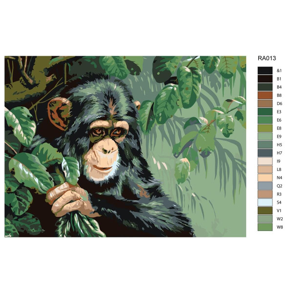 Pintura por números "Gorila", 30x40cm, ra013
