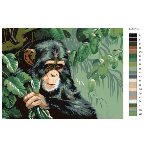 Pintura por números "Gorila", 30x40cm,...
