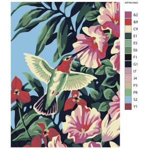 Schilderij op nummer "Kolibrie", 30x40cm,...