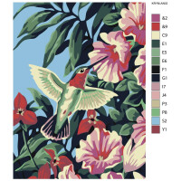 Schilderij op nummer "Kolibrie", 30x40cm, krym-an02