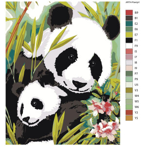 Pittura con i numeri "Panda bears", 40x50cm,...