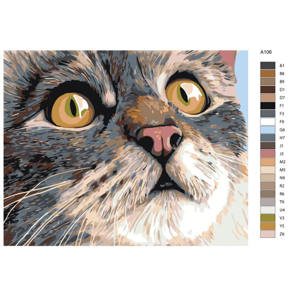 Peinture par numéros "chat", 40x50cm, a106