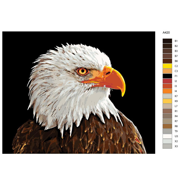 Pittura con numeri "Aquila calva", 40x50cm, a420