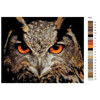 Paint by Numbers "Owl portrait", 40x50cm, A422