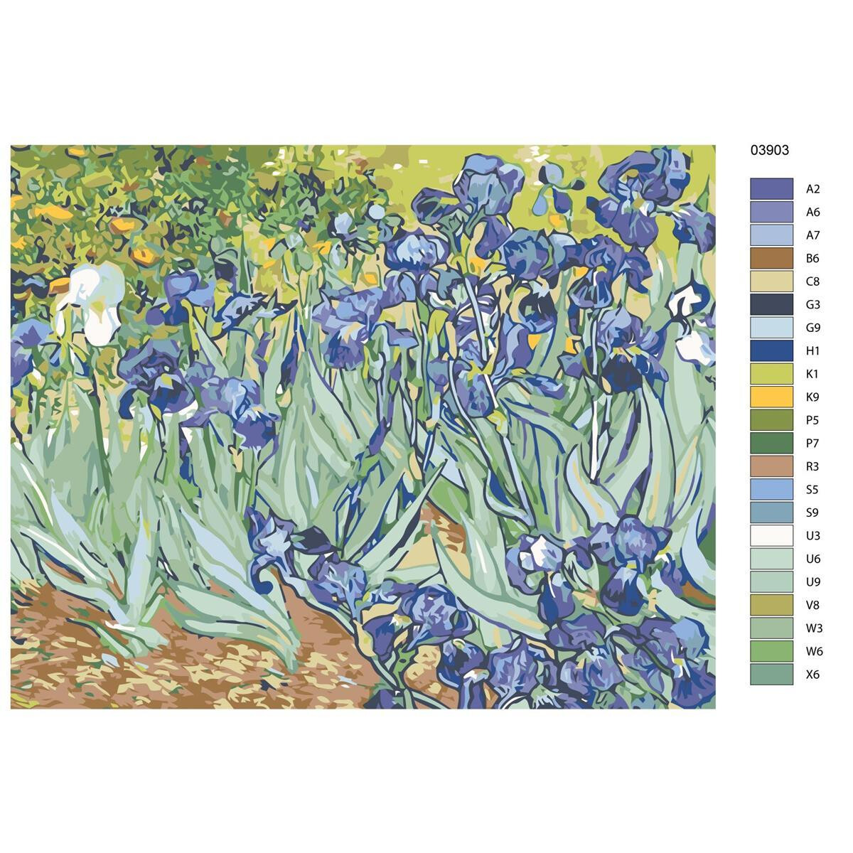 Peinture par numéros "Iris", 40x50cm,...