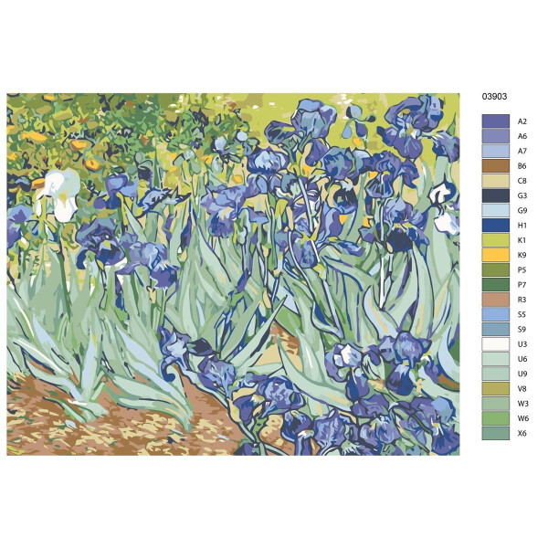 Peinture par numéros "Iris", 40x50cm, ktmk-03903