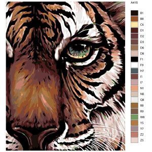 Pittura dai numeri "Faccia di tigre", 40x50cm,...