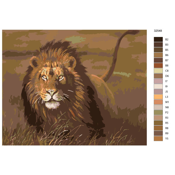 Schilderij op nummer "Leeuw in de wei", 40x50cm, ktmk-32548