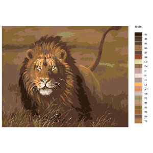 Paint by Numbers "Lion in the meadow", 40x50cm,...
