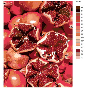 Paint by Numbers "Ripe pomegranates" , 40x50cm,...