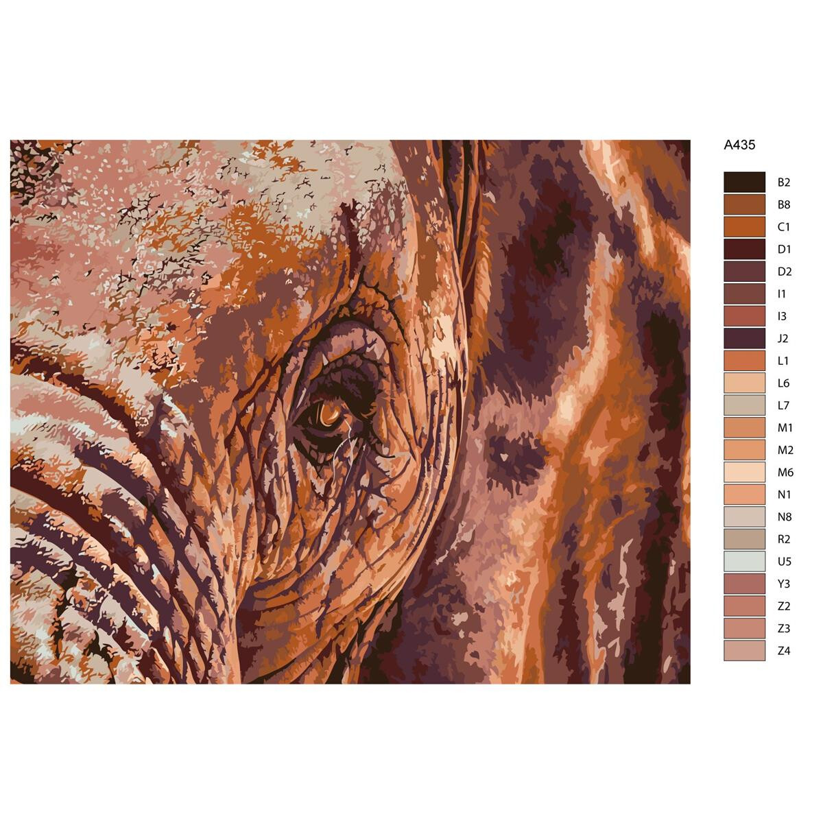 Pittura con numeri "occhio delefante", 40x50cm,...