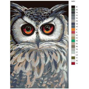 Paint by Numbers "Owl", 40x60cm, A453