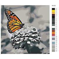 Peinture par numéros "Papillon coloré sur fleur", 40x40cm, ra155