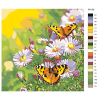 Paint by Numbers "Butterfly on daisies", 40x40cm, RA156