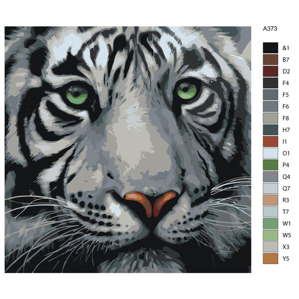 Paint by Numbers "White Tiger", 40x40cm, A373