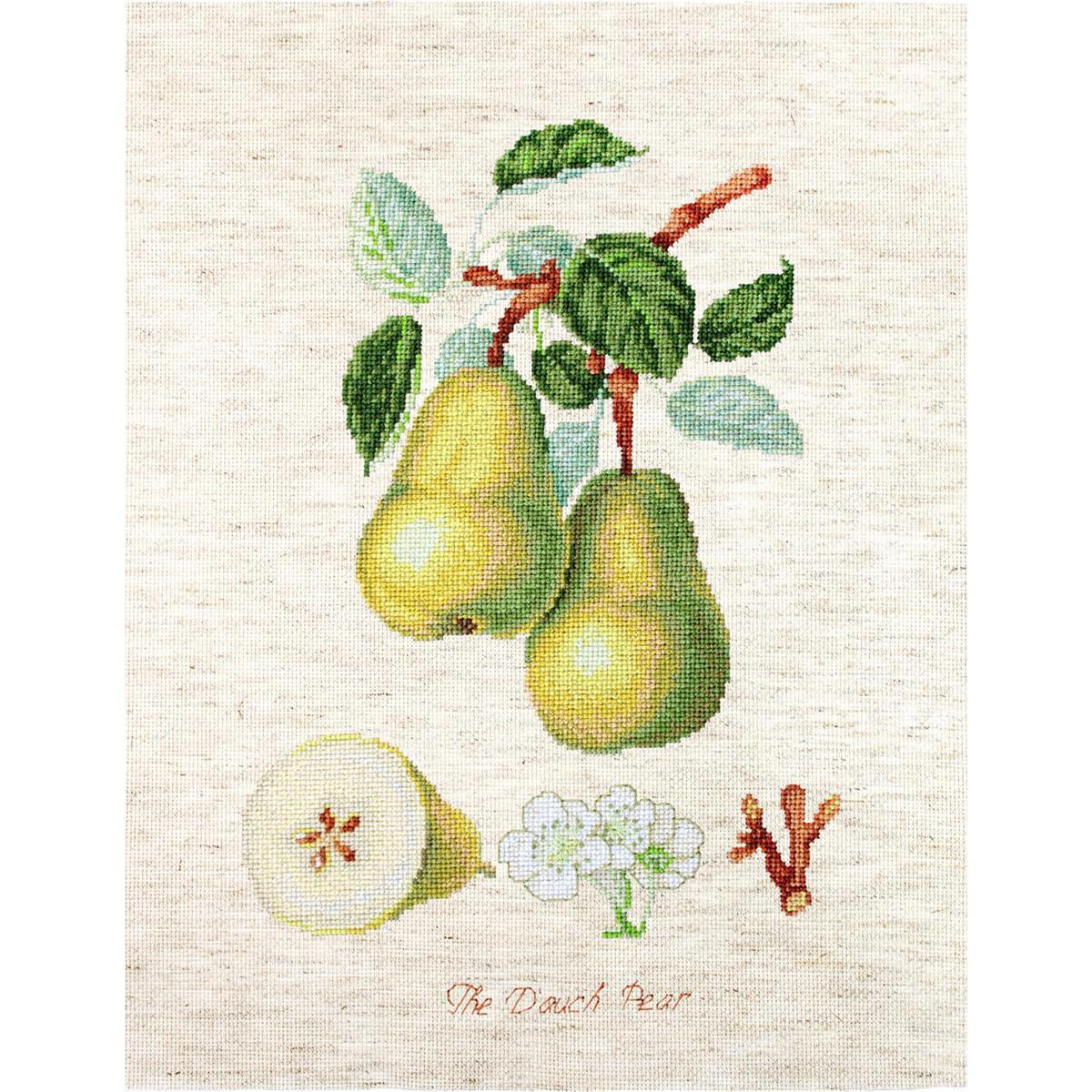 A cross-stitch picture shows two green and yellow pears...