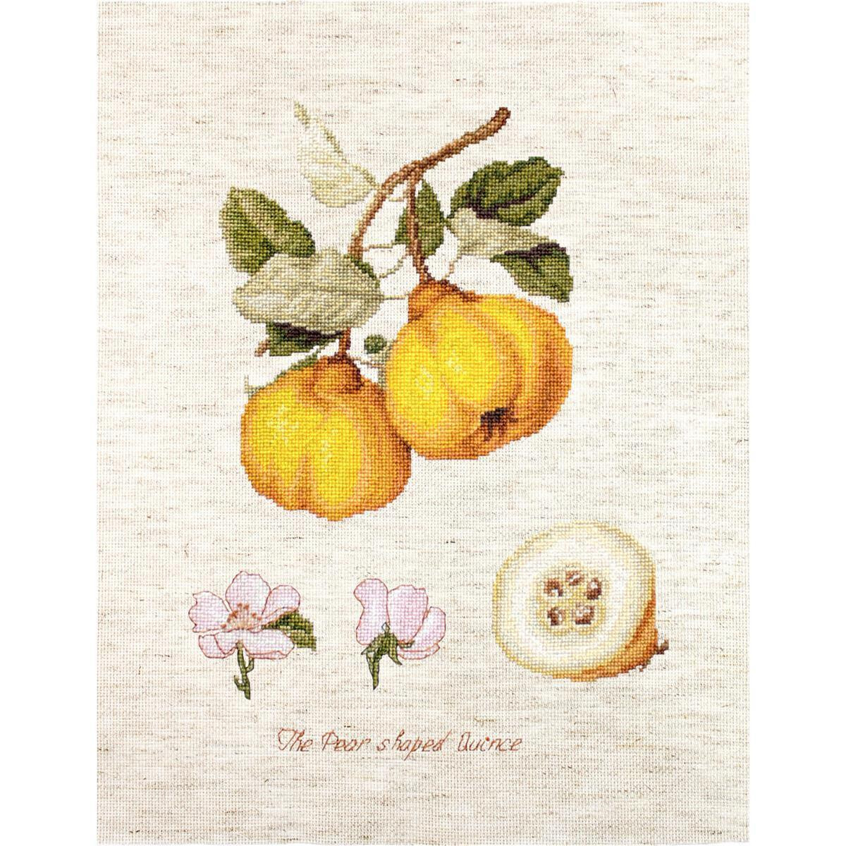 Luca-s counted cross stitch kit "The Pear shaped...