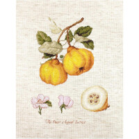 Luca-s counted cross stitch kit "The Pear shaped Quince" Aida, 18,5x25cm, DIY
