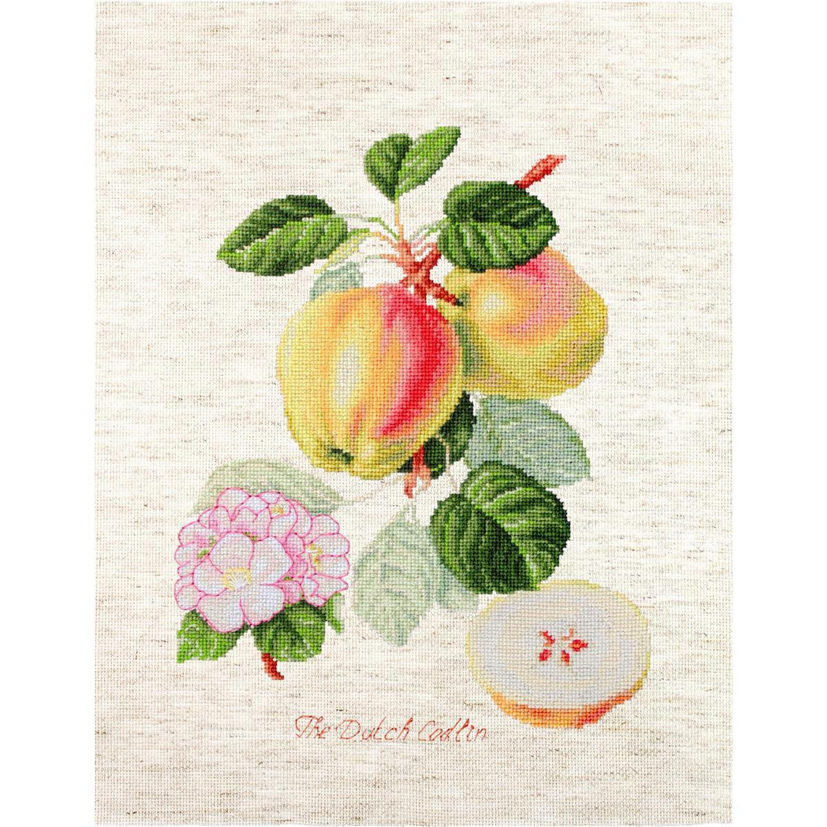 Detailed embroidery pack embroidery depicting two apples...