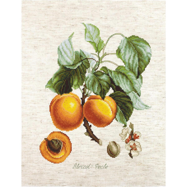 Luca-S Set punto croce "Peaches" Aida, motivo di conteggio, 19,5x25cm