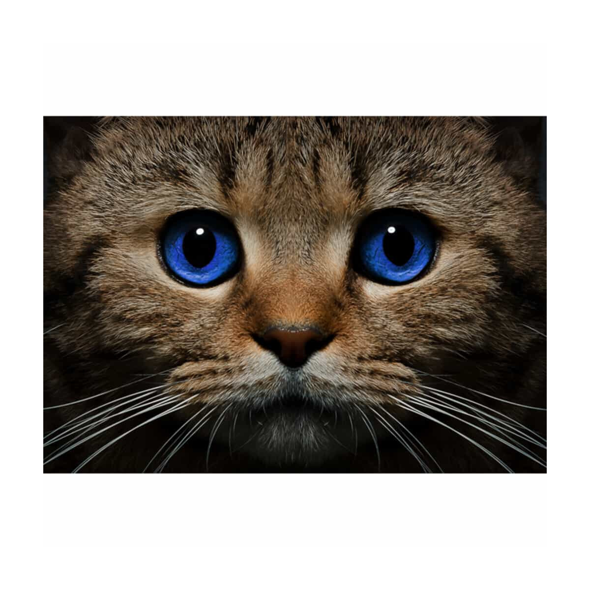 CdA Diamond Embroidery Kit "Blue-eyed cat" 38 x...