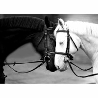 CdA Diamond Embroidery Kit "Black and white horses" 38 x 27cm, DE5833