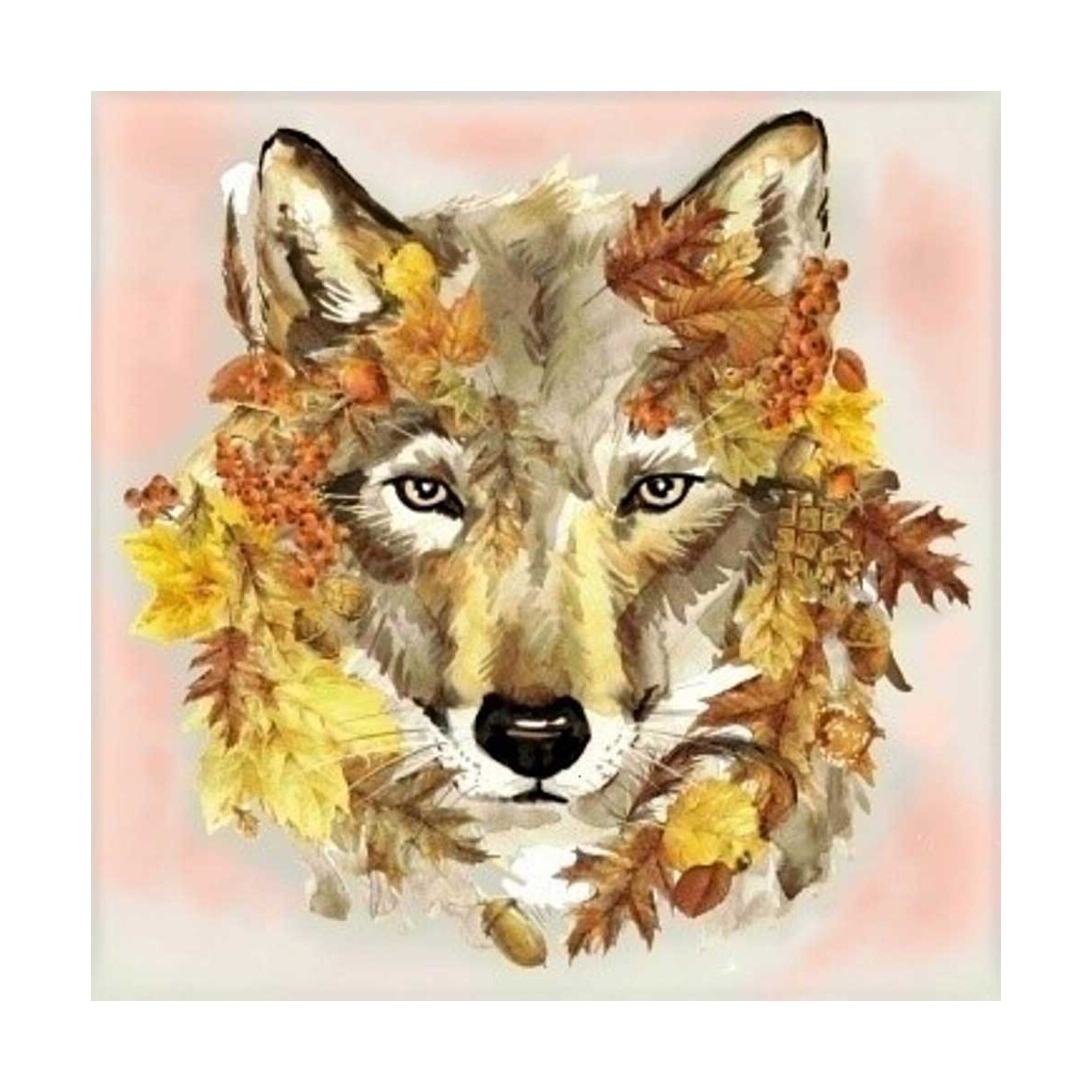 Collection D-Art diamant schildersset "Wolf" 38...