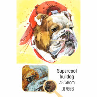CdA Juego de pintura de diamantes "Super Cool Bulldog" 38 x 38cm, en7008