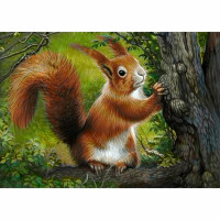 CdA set di pittura al diamante "scoiattolo della foresta" 27 x 38cm, de7033