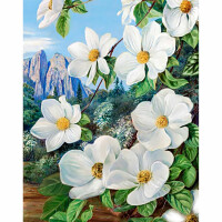CdA Set de pintura de diamantes "Primavera en las montañas" 38 x 48cm, es7047