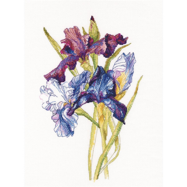 rto kruissteek set "Iris regenboog" m580, telpatroon, 27x36 cm