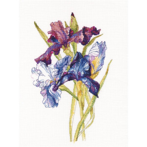 RTO counted Cross Stitch Kit "Irises rainbow"...